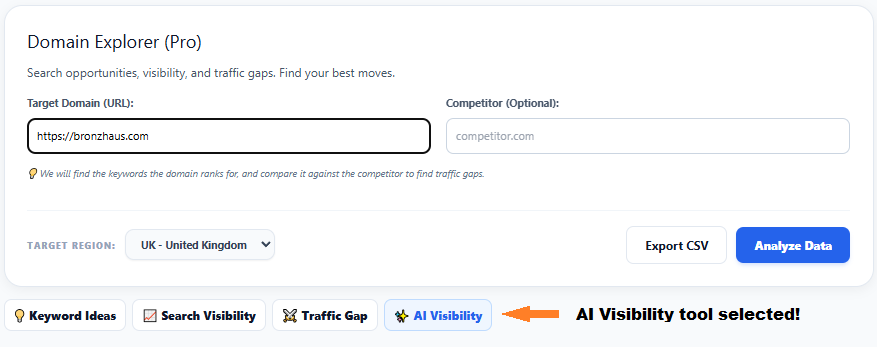 AI Visibility Target Input